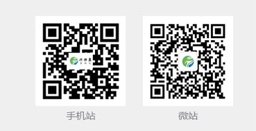 手機(jī)站，微站